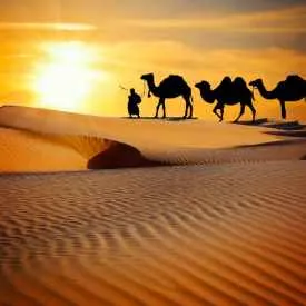 Rajasthan